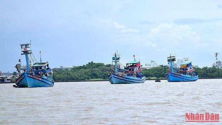 Tàu cá neo đậu tại miền biển Sông Đốc (huyện Trần Văn Thời, tỉnh Cà Mau) vì thiếu dầu xa khơi.