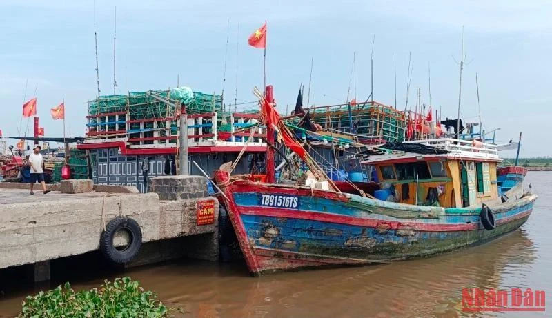 Tàu, thuyền vào neo đậu tại cảng cá cửa Lân, xã Nam Thịnh, huyện Tiền Hải (tỉnh Thái Bình).