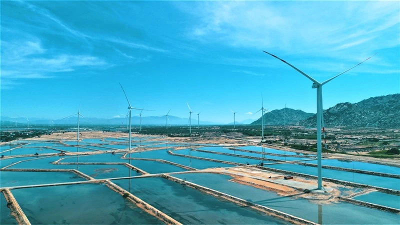 Tài trợ 25 triệu USD phát triển điện gió tại Ninh Thuận 