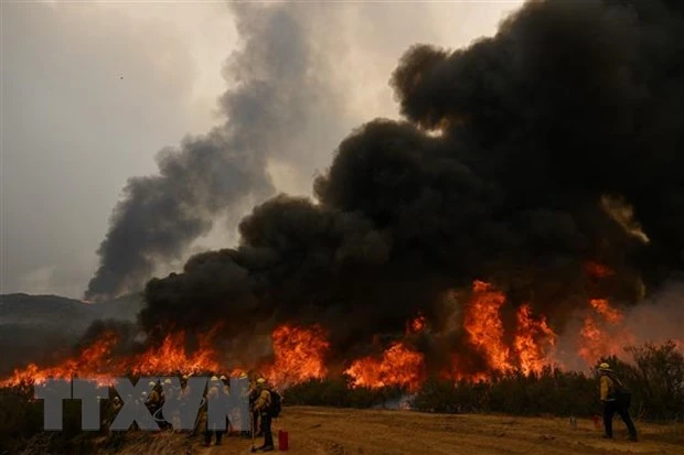 Ảnh minh họa. (Nguồn: AFP/TTXVN)