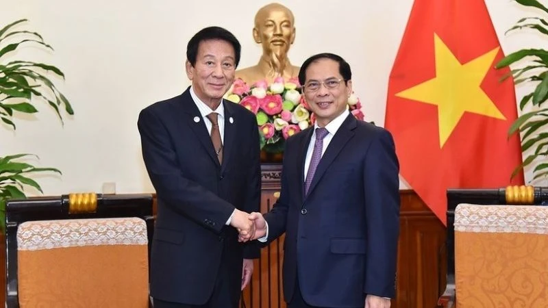 Bộ trưởng Ngoại giao Bùi Thanh Sơn tiếp nguyên Đại sứ Đặc biệt Nhật Bản-Việt Nam Sugi Ryotaro. (Ảnh: TTXVN)