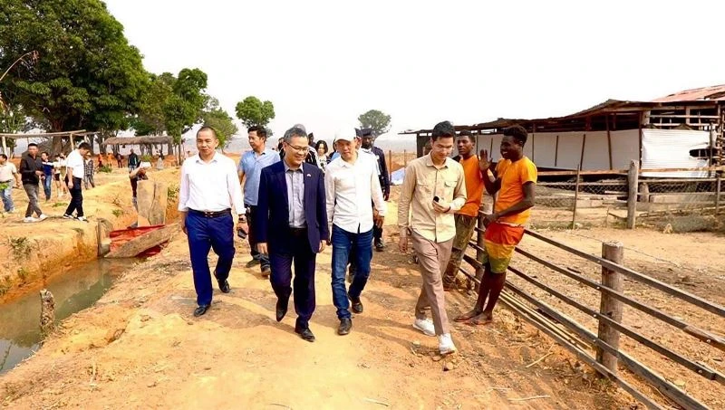 Đại sứ Dương Chính Chức thăm trang trại Team châu Phi. (Ảnh: Đại sứ quán Việt Nam tại Angola)