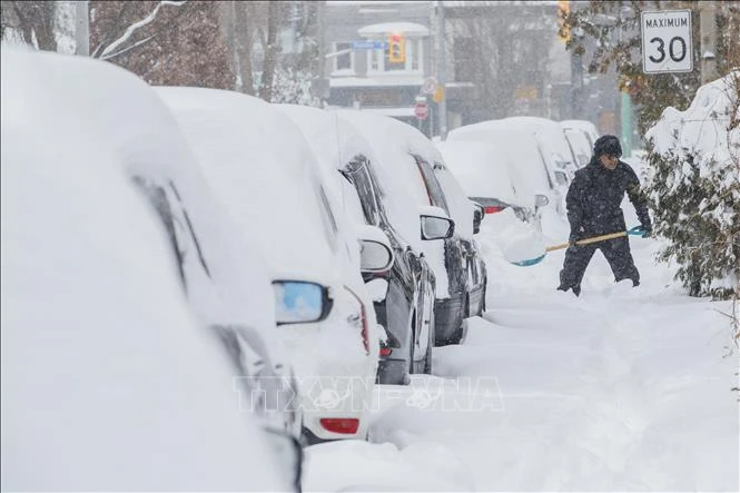 Các phương tiện bị tuyết phủ kín tại Montreal, tỉnh Quebec, Canada ngày 17/1/2022. (Ảnh: AFP/TTXVN)
