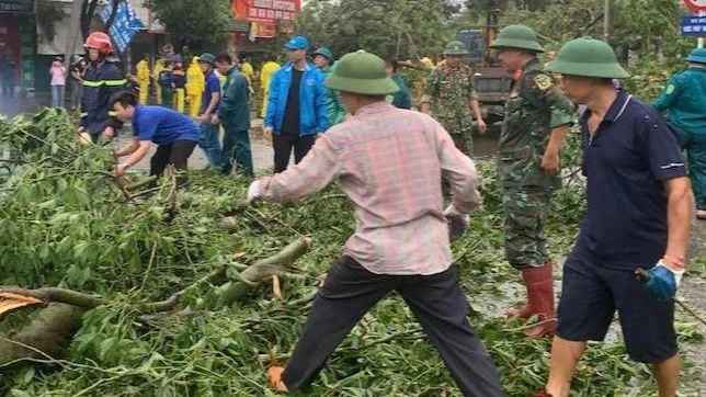 Lực lượng chức năng trên địa bàn quận Long Biên xử lý cây xanh bị gãy, đổ.