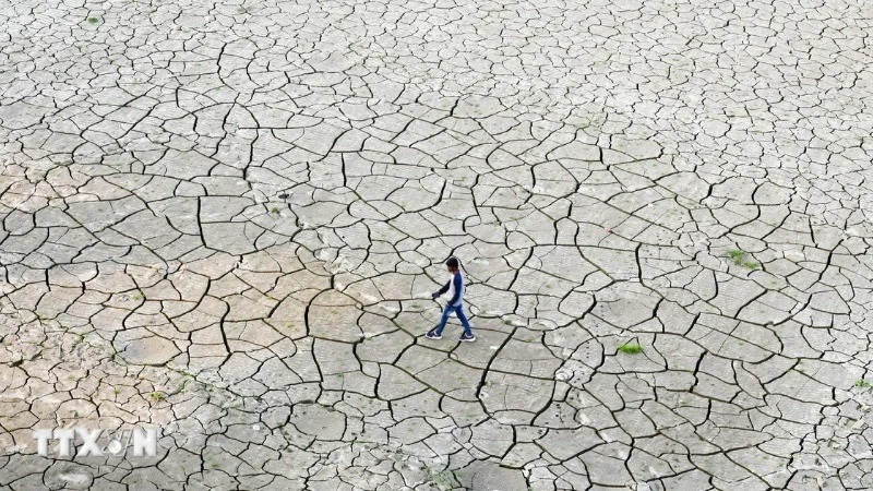 Ảnh minh họa. (Ảnh: AFP/TTXVN)