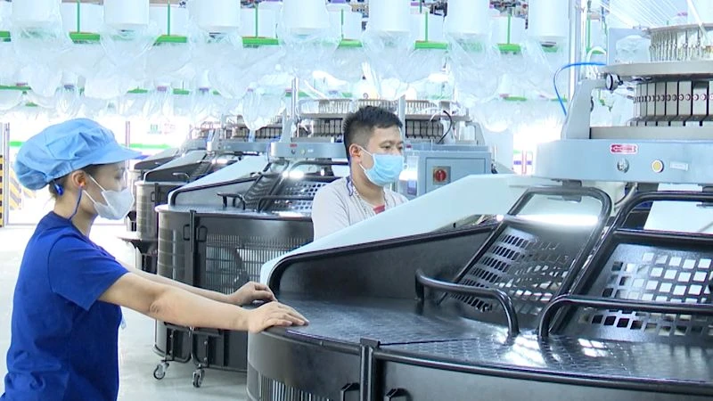 Lao động tại Công ty trách nhiệm hữu hạn Top Textiles của Tập đoàn Toray, Nhật Bản, tỉnh Nam Định. (Ảnh: XUÂN TRƯỜNG)