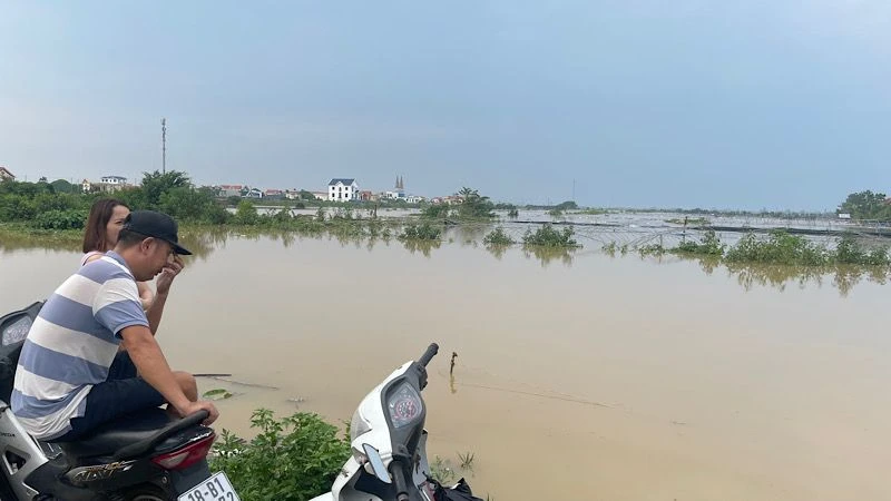 Mưa lũ làm ngập trắng nhiều diện tích sản xuất nông nghiệp của Nam Định.