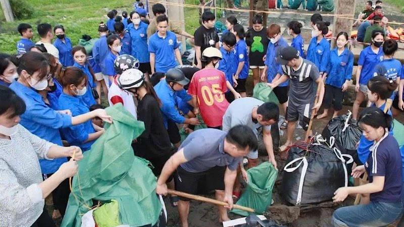 Thanh niên Nam Định tham gia chống lũ trên địa bàn.