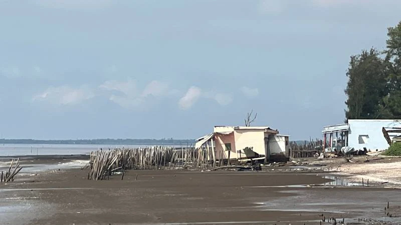 Tỉnh Bến Tre công bố tình huống khẩn cấp sạt lở bờ biển huyện Ba Tri.