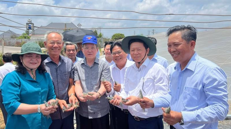 Trung ương Hội Nông dân Việt Nam cùng lãnh đạo chính quyền địa phương tham quan mô hình nuôi tôm công nghệ cao của Câu lạc bộ nông dân tỷ phú huyện Thạnh Phú.