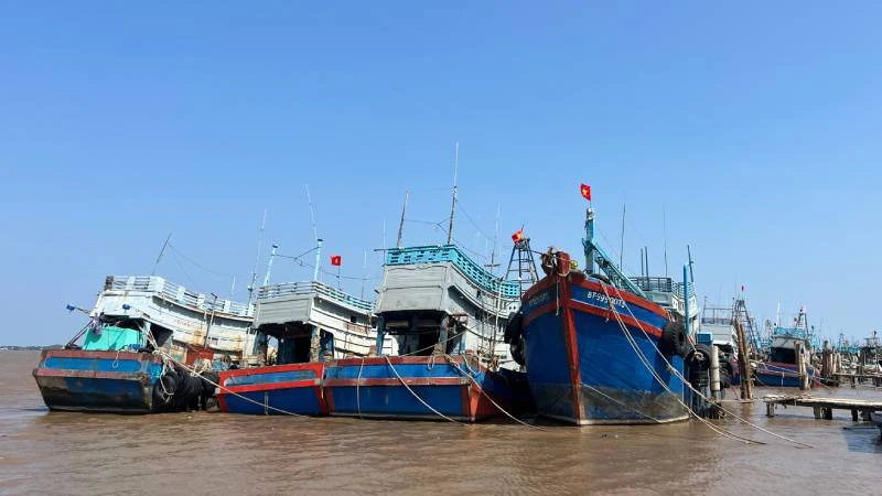 Quy hoạch hệ thống cảng cá, khu neo đậu tránh trú bão góp phần phát triển bền vững ngành thủy sản. (Ảnh: HOÀNG TRUNG)