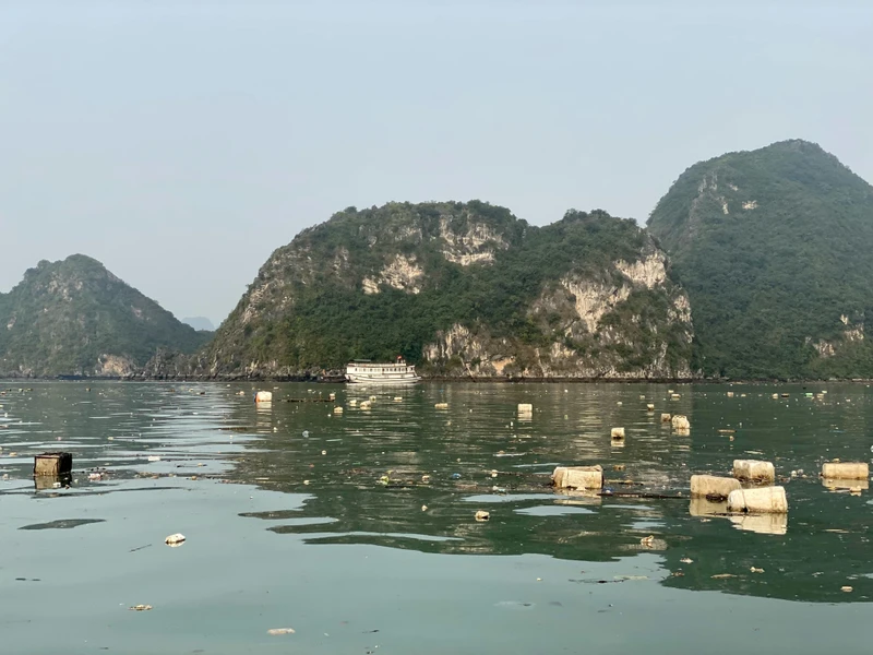 Xuất phát từ việc thay đổi vật liệu nuôi trồng thủy sản và làm lồng bè đã làm phát tán một lượng lớn phao xốp trôi nổi trên Vịnh Hạ Long và Bái Tử Long.