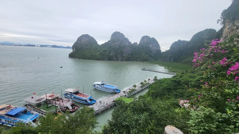 Quảng Ninh tạm ngừng cấp phép cho các tàu du lịch hoạt động trên Vịnh Hạ Long từ 15 giờ ngày 19/10.