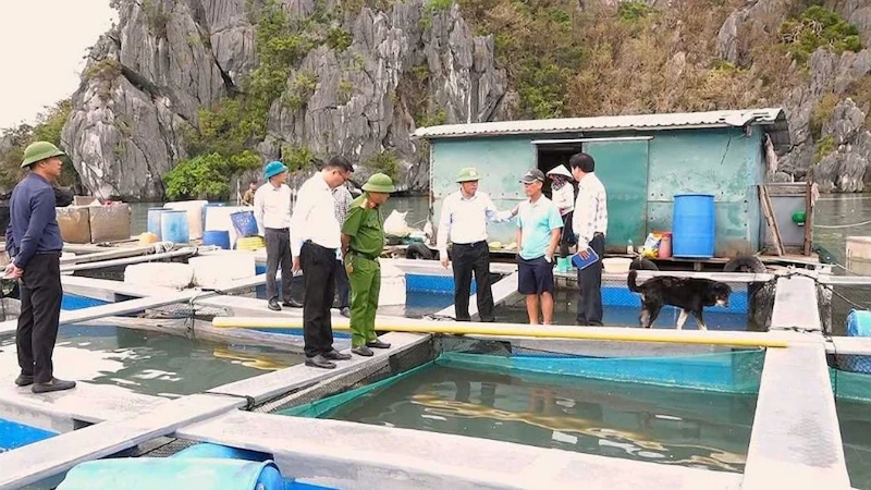 Lãnh đạo huyện Vân Đồn kiểm tra công tác bàn giao khu vực nuôi biển cho các hộ nuôi trồng thủy sản.