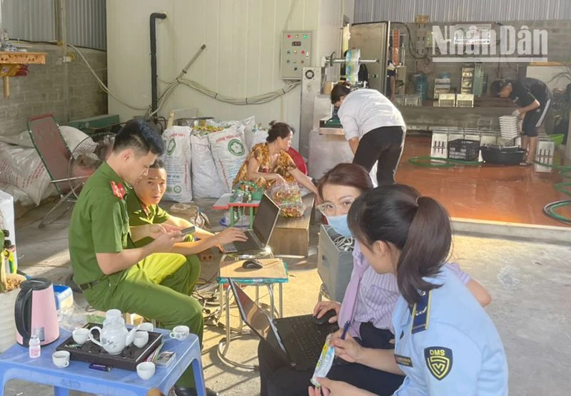 Lực lượng Cảnh sát môi trường và Quản lý Thị trường phối hợp kiểm tra, xử lý vi phạm tại cơ sở Hải Linh.