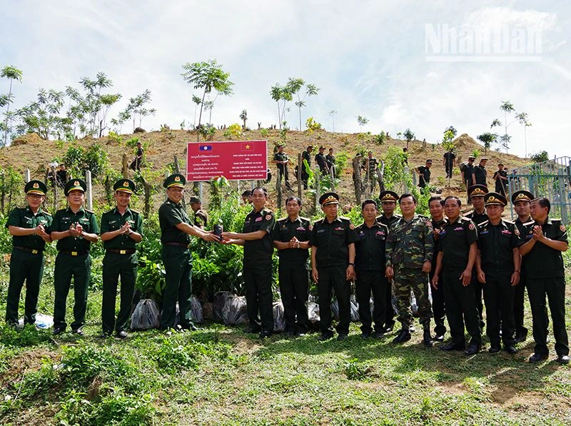 Đại tá Cà Văn Lập, Chính ủy Bộ đội Biên phòng tỉnh Sơn La trao cây giống cho Bộ Chỉ huy Quân sự tỉnh Houaphanh, nước bạn Lào.