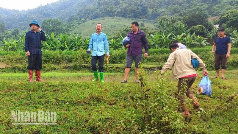 Kiểm tra, đánh giá tình hình sạt lở tại bản Nà Mện, xã Nậm Ty, huyện Sông Mã. (Ảnh: LÒ HÀ)