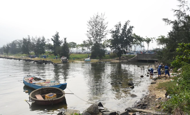 Thu gom, làm sạch môi trường khu vực Vịnh Mân Quang (quận Sơn Trà, thành phố Đà Nẵng).