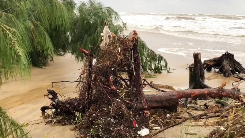 Hiện trạng sạt lở bờ biển Quảng Phúc, tỉnh Quảng Bình.