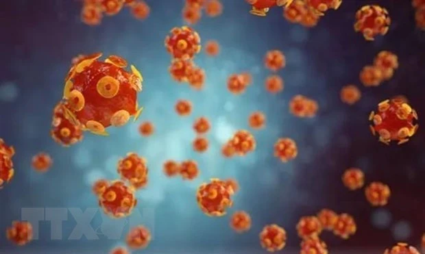 Hình ảnh mô phỏng virus gây bệnh viêm gan. (Ảnh: Getty Images/TTXVN)