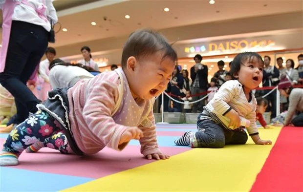 Các em bé tham gia "cuộc thi bò" tại Yokohama, tỉnh Kanagawa (Nhật Bản). (Ảnh: AFP/TTXVN)