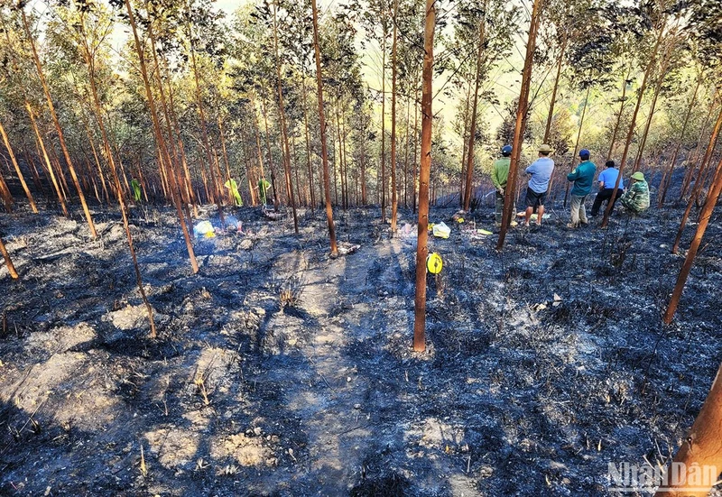 Hiện trường vụ cháy rừng khiến 2 người tử vong.