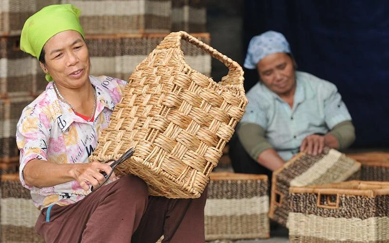 Sản phẩm của làng nghề đan Phú Túc, huyện Phú Xuyên (Hà Nội) đạt tiêu chuẩn OCOP 4 sao, năm 2021. Ảnh: THANH TRÚC