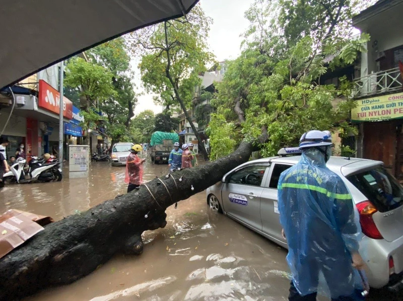 Cây lớn đổ đè vào chiếc taxi trên phố Hàng Chiếu (Hà Nội) sau mưa. Ảnh: Đan Hạ