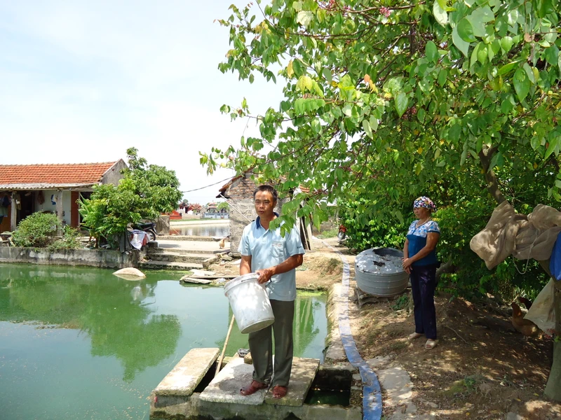 Gia đình ông Nguyễn Huy Mẹo, Tân Hưng, TP Hải Dương đã phải làm lụng rất vất vả để trả nợ ngân hàng. Ảnh: Văn Học