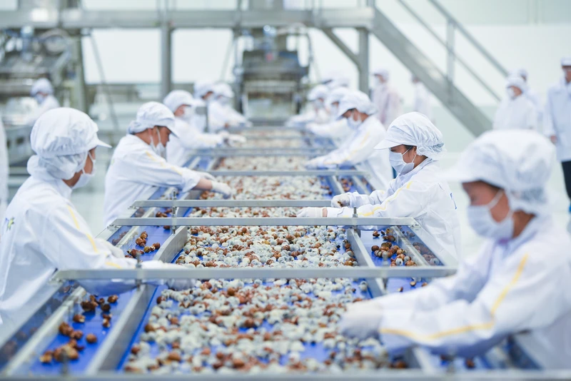 Nhà máy chế biến hoa quả tươi và thảo dược Vân Hồ của Tập đoàn TH được khánh thành và đưa vào sử dụng từ tháng 9/2020. Nguồn: TH