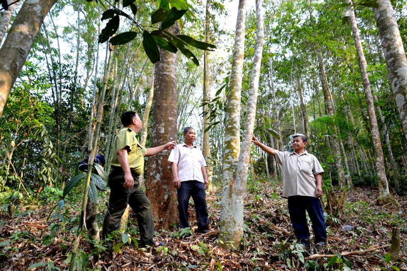 Trưởng thôn Đặng Văn Quang (ngoài cùng, bên phải) và cán bộ kiểm lâm địa bàn đi thăm rừng cộng đồng Bản Lọt.