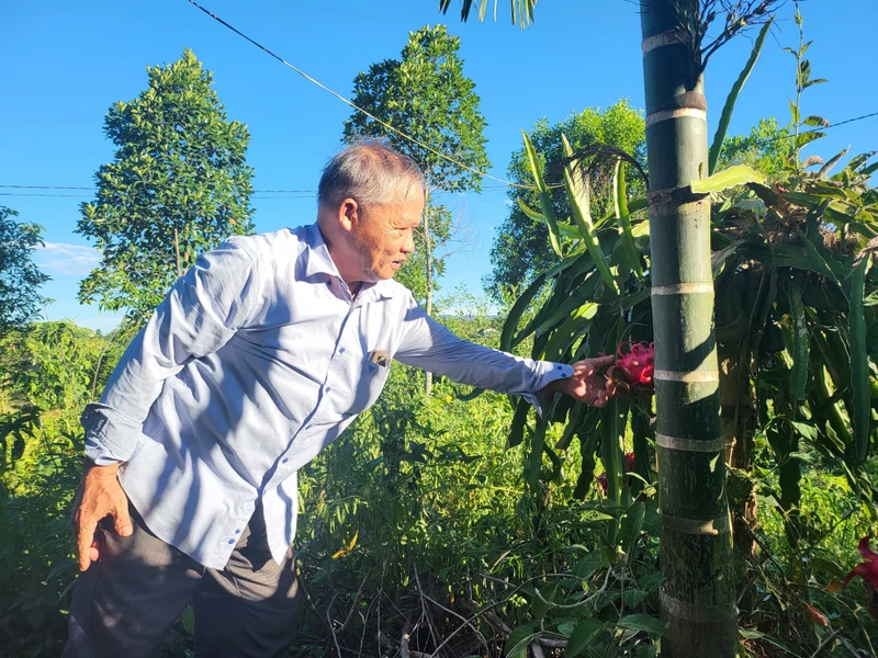 Rời bỏ tà đạo, ông Nguyễn Công Châu đã có một cuộc sống vui vẻ, ý nghĩa.