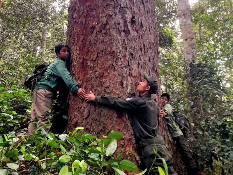 Lực lượng kiểm lâm cùng người dân địa phương khảo sát, bảo vệ rừng ở Tây Giang. Ảnh: ALăng Ngước