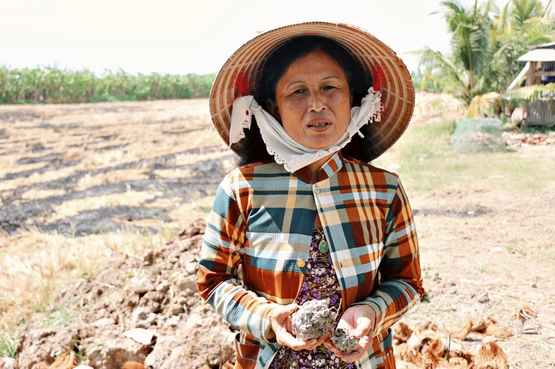 Người nông dân huyện Trần Văn Thời bên thửa ruộng khô khát.
