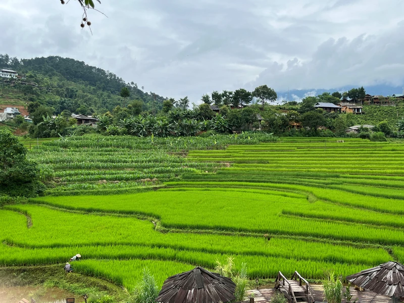 Việt Nam cần chú trọng vấn đề cốt lõi là cải tạo và nâng cao chất lượng đất.