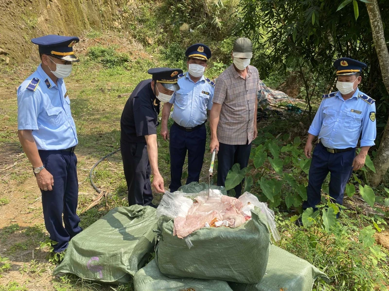 Các lực lượng chức năng huyện Bình Liêu (Quảng Ninh) tổ chức tiêu hủy 550kg nầm lợn không rõ nguồn gốc, xuất xứ, bắt giữ hồi cuối tháng 4 vừa qua. Ảnh: Hoàng Gái