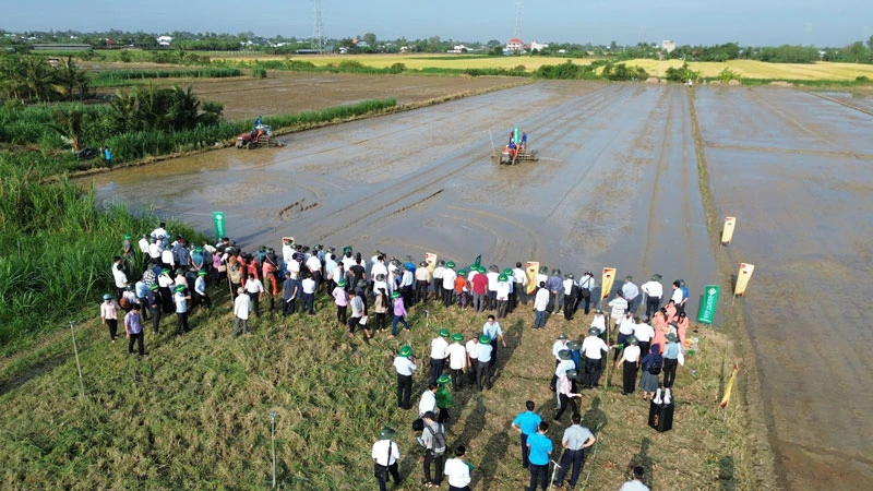 Tỉnh Tiền Giang triển khai đề án.