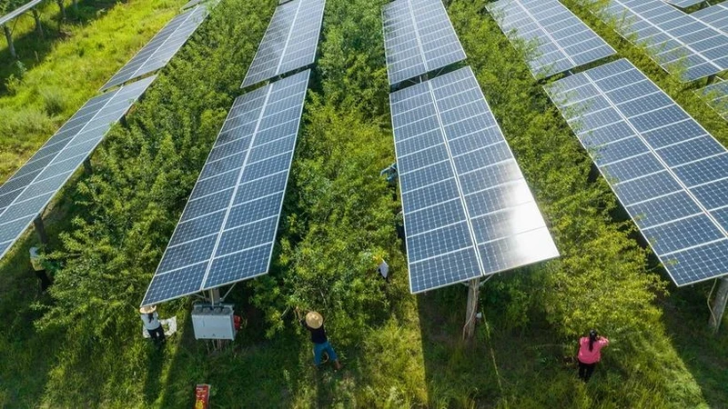 Tấm năng lượng mặt trời tại tỉnh Quý Châu, Trung Quốc. (Ảnh: AFP/TTXVN)