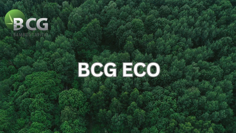 BCG Eco – Bước đi mới trong hành trình phát triển bền vững của Tập đoàn Bamboo Capital