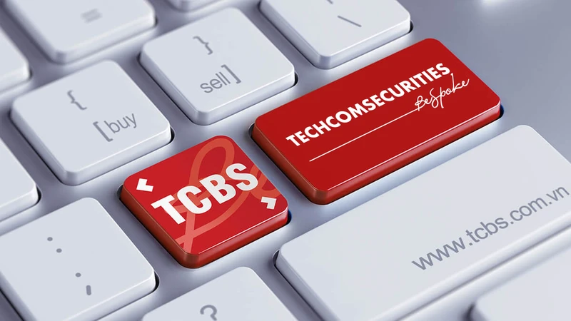 TCBS hiện đang là công ty chứng khoán có định mức tín nhiệm cao nhất dựa trên giá trị những khoản vay tín chấp quốc tế (khoảng 8.000 tỷ đồng) tiếp cận được.