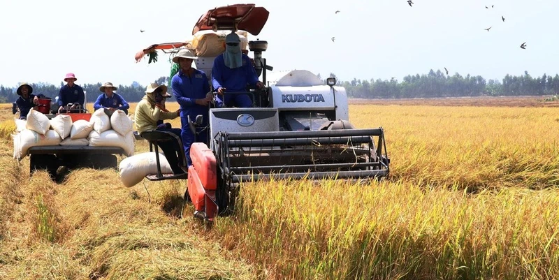 Nông dân thu hoạch lúa trên cánh đồng xã Buôn Choach, huyện Krông Nô, tỉnh Đắk Nông.