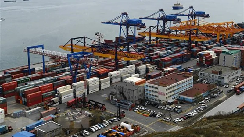 Cảng hàng hóa Vladivostok ở vùng Viễn Đông nước Nga. (Ảnh: AFP/TTXVN)