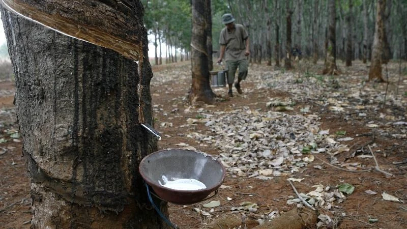 Ảnh minh họa. (Nguồn: Reuters)