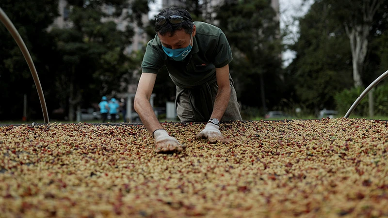 Ảnh minh họa. (Nguồn: Reuters)