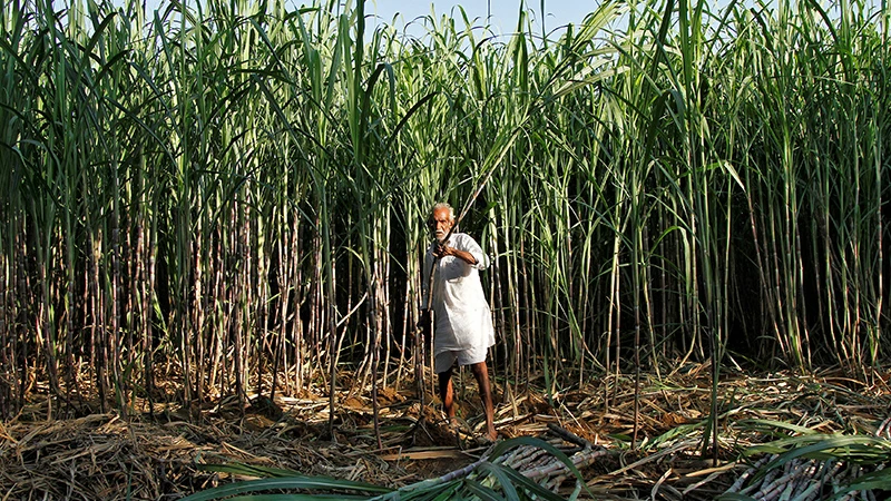 Ảnh minh họa. (Nguồn: Reuters)