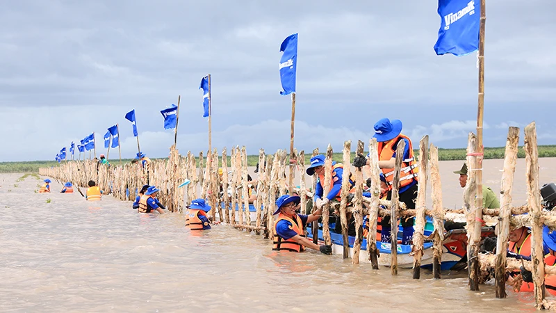 Đoàn nhân viên Vinamilk cùng thực hiện gia cố, sửa chữa hàng rào khoanh nuôi rừng.