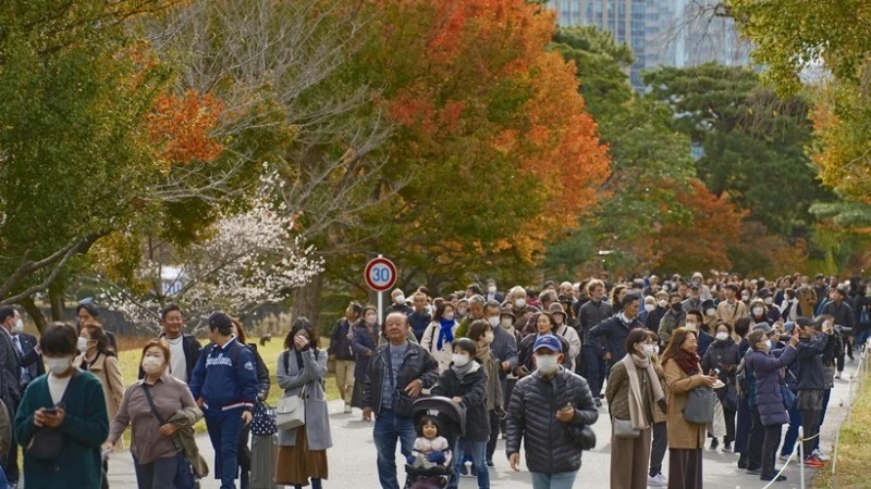 Lá cây chuyển màu đỏ và vàng tại Tokyo, Nhật Bản. (Ảnh: TTXVN)