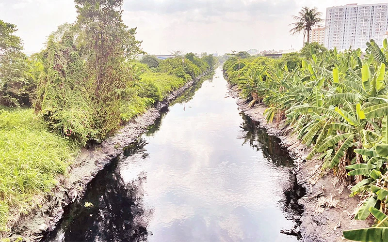 Một đoạn tuyến kênh Tham Lương-Bến Cát-rạch Nước Lên bị ô nhiễm, kỳ vọng được thi công cải tạo trở thành tuyến kênh xanh của thành phố. (Ảnh Thế Anh) 