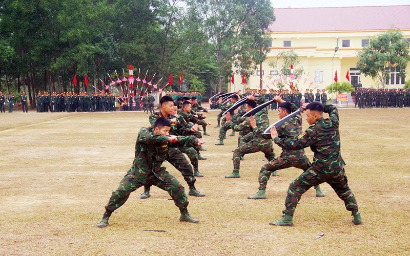 Chiến sĩ Trung đoàn 95, Sư đoàn 325 biểu diễn võ thuật tại Lễ ra quân huấn luyện năm 2023. 