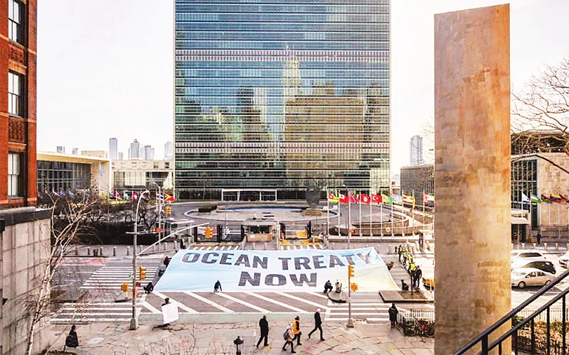 Các nhà hoạt động môi trường ở New York, Mỹ kêu gọi đạt được hiệp ước bảo vệ đại dương. 
